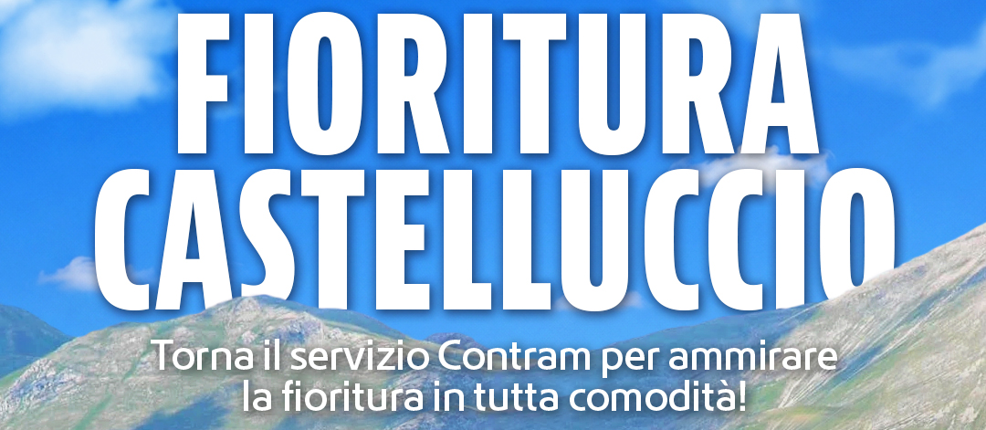 Fioritura Castelluccio 2026